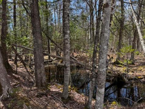 So 001 Plan 2 Lot 16.1 Long Falls Dam Road Lexington Twp ME 04961