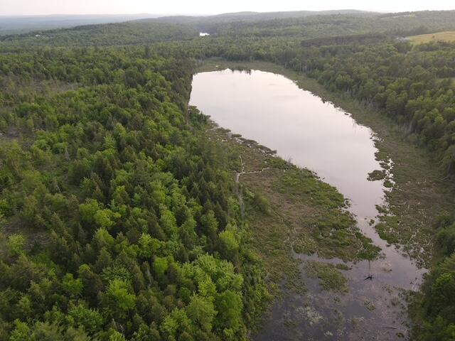 Lot 9 Parker Pond Road Sebec ME 04481