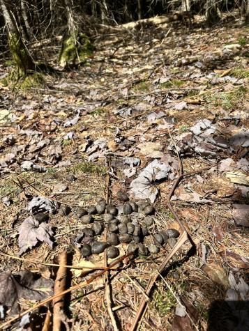 Map 8 Lot 32-4 Patten Road Garland ME 04939