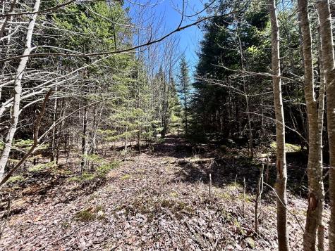 Map 8 Lot 32-4 Patten Road Garland ME 04939