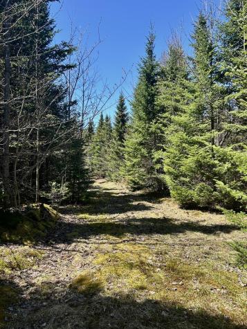 Map 8 Lot 32-4 Patten Road Garland ME 04939