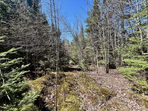 Map 8 Lot 32-4 Patten Road Garland ME 04939