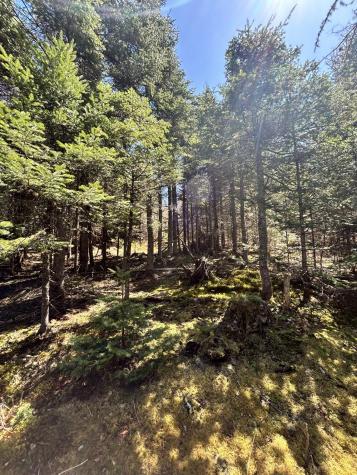 Map 8 Lot 32-4 Patten Road Garland ME 04939