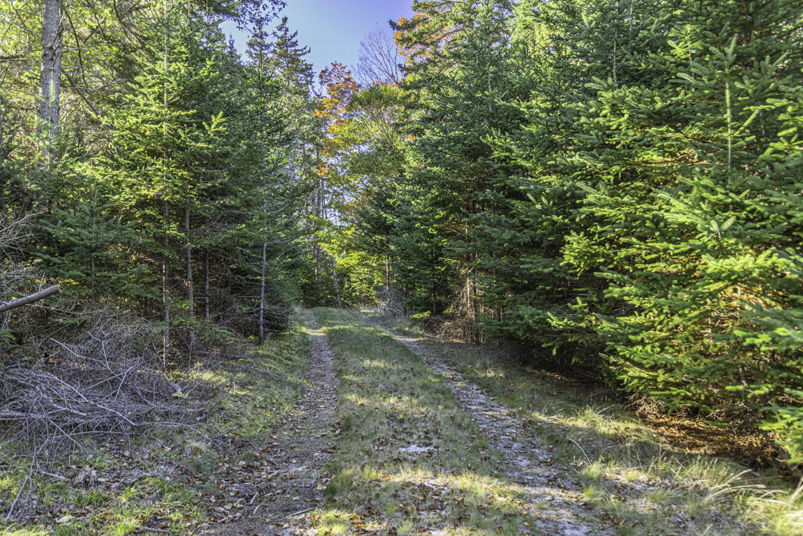 78 Howland Lane Deer Isle ME 04650