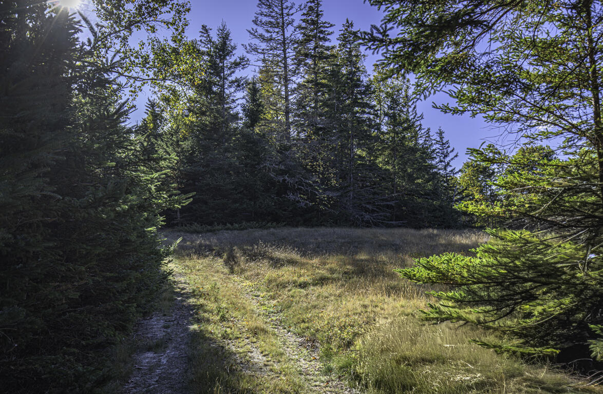 78 Howland Lane Deer Isle ME 04650