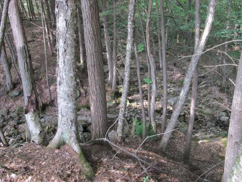 6.28 Mountain Road Aka/hodgdon Road Buckfield ME 04220