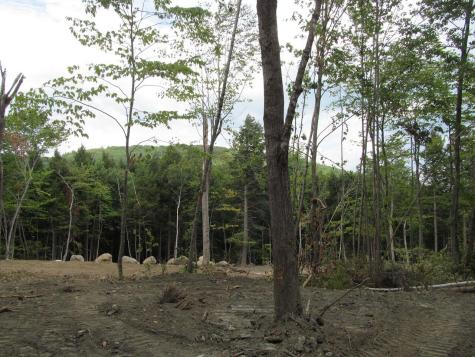 6.28 Mountain Road Aka/hodgdon Road Buckfield ME 04220