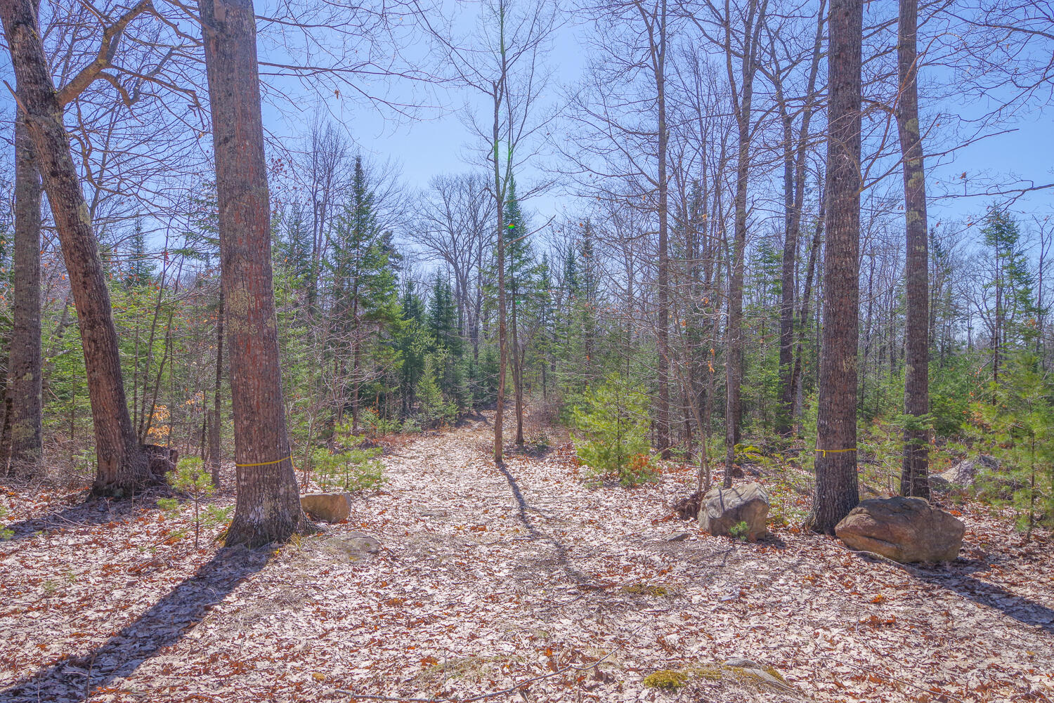 00 Higgins Hill Road Morrill ME 04952