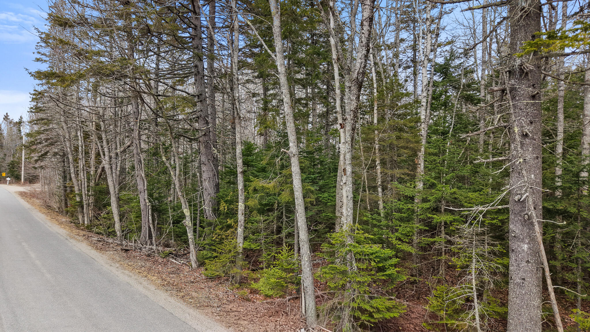 MAP23LOT8 Gouldsboro Point Road Gouldsboro ME 04607