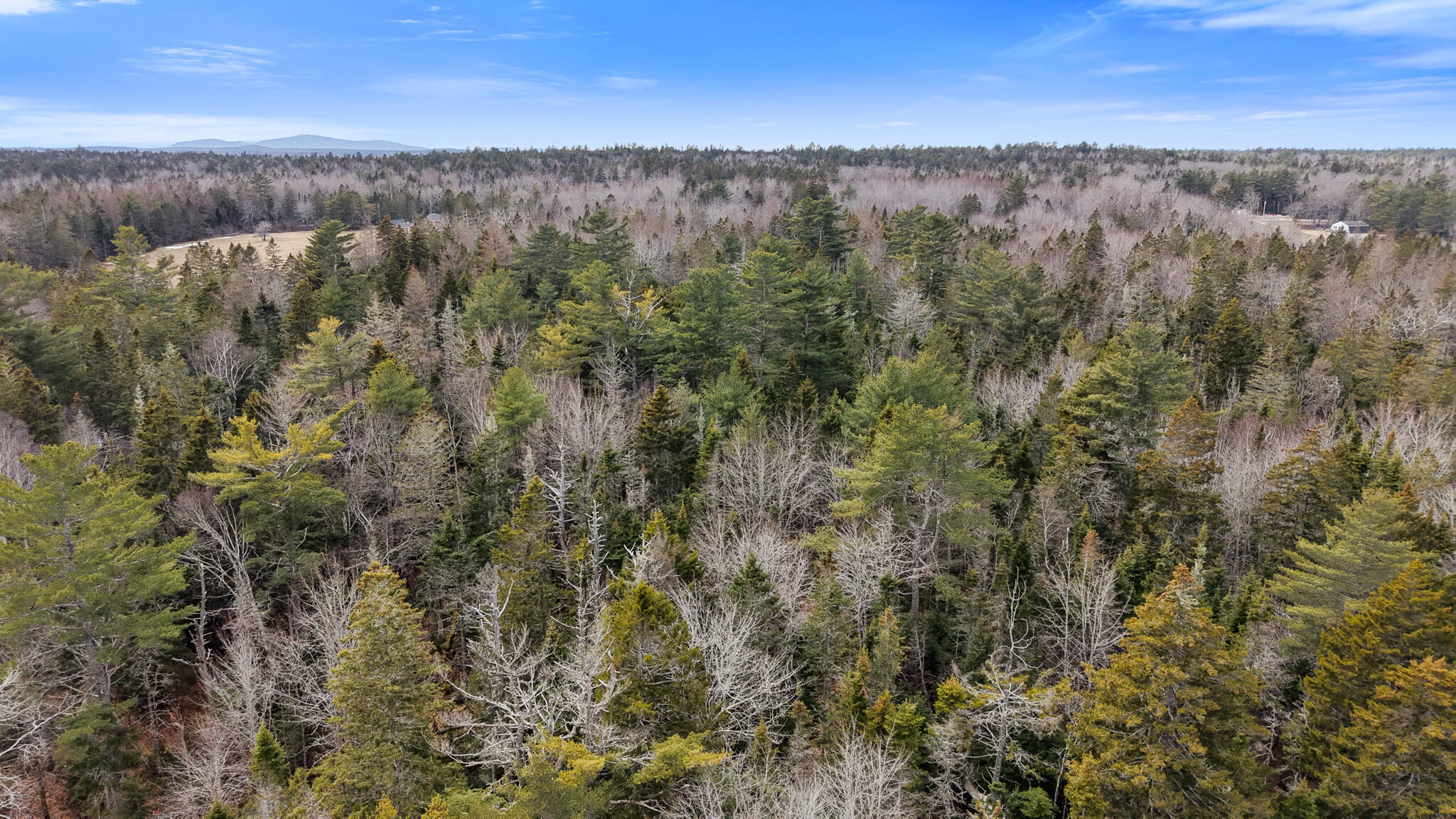 MAP23LOT8 Gouldsboro Point Road Gouldsboro ME 04607