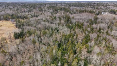 MAP23LOT8 Gouldsboro Point Road Gouldsboro ME 04607