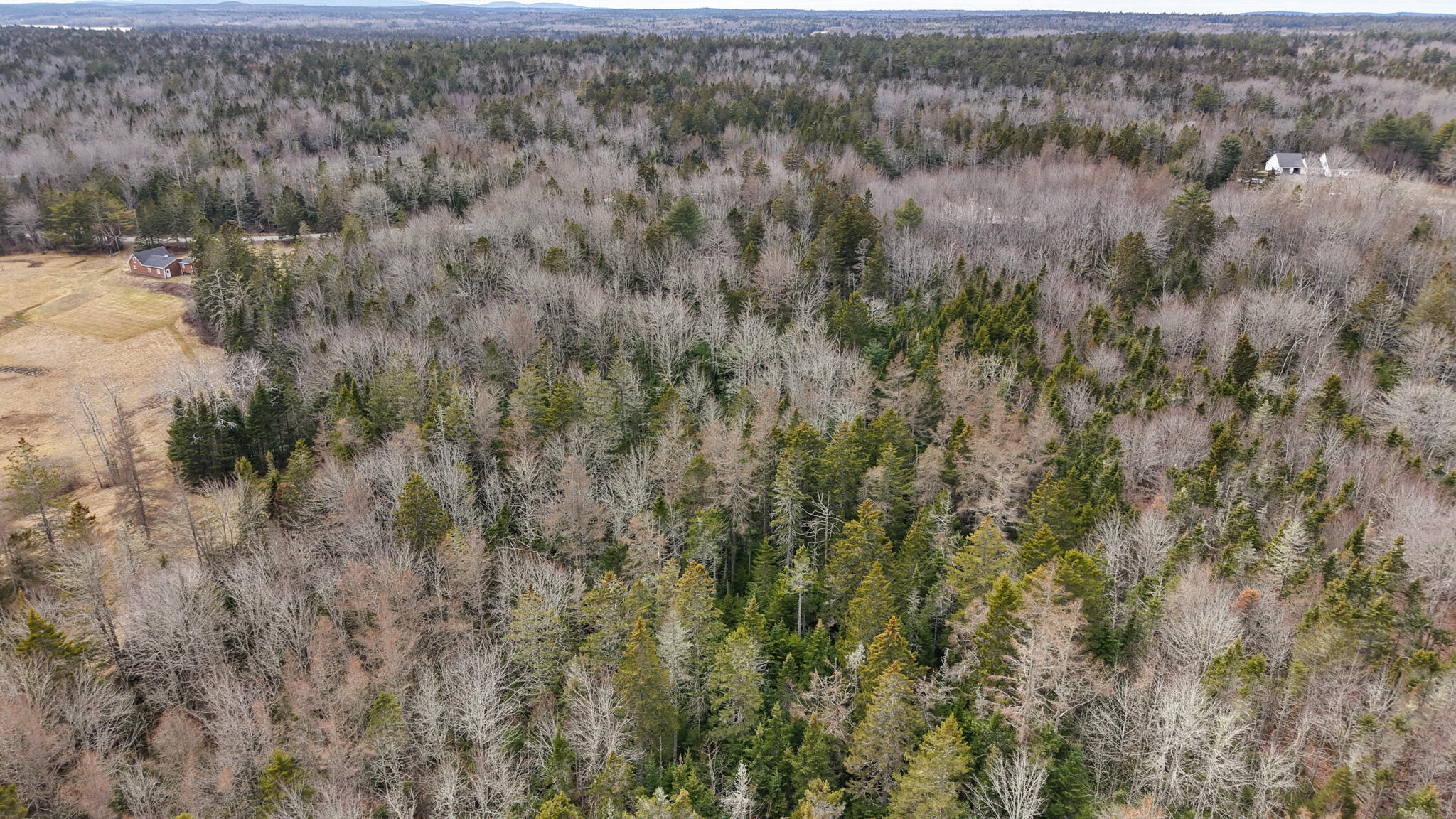 MAP23LOT8 Gouldsboro Point Road Gouldsboro ME 04607