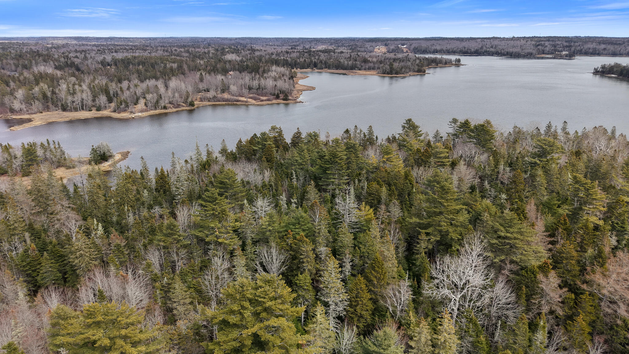 MAP23LOT8 Gouldsboro Point Road Gouldsboro ME 04607