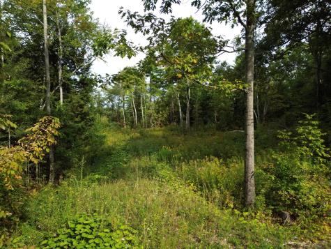 Lot 75 Bassett Road Winslow ME 04901