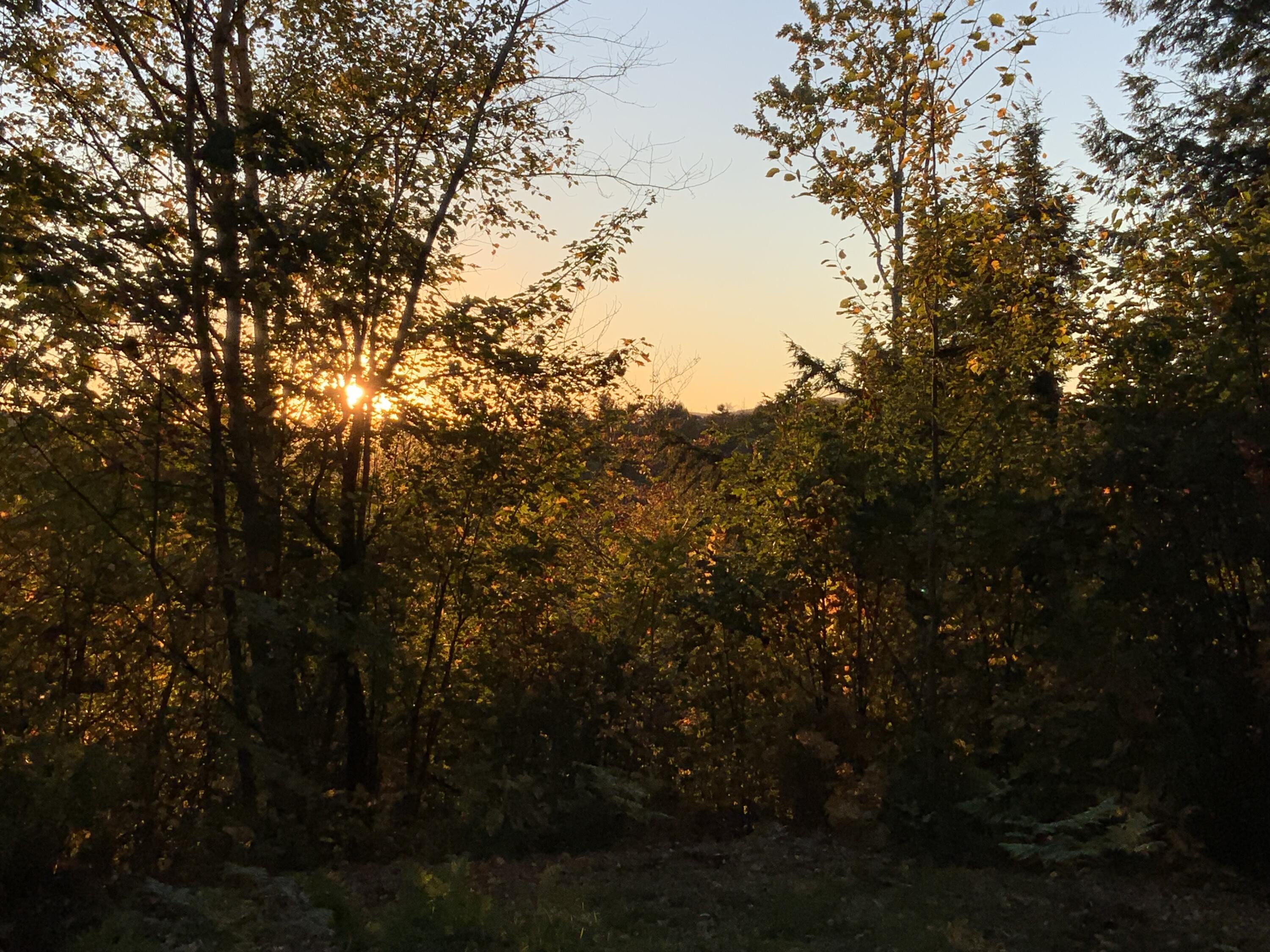 019 Lower Bear Lane Rumford ME 04276