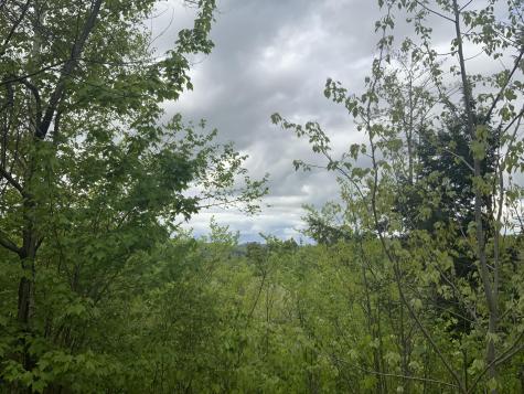 019 Lower Bear Lane Rumford ME 04276