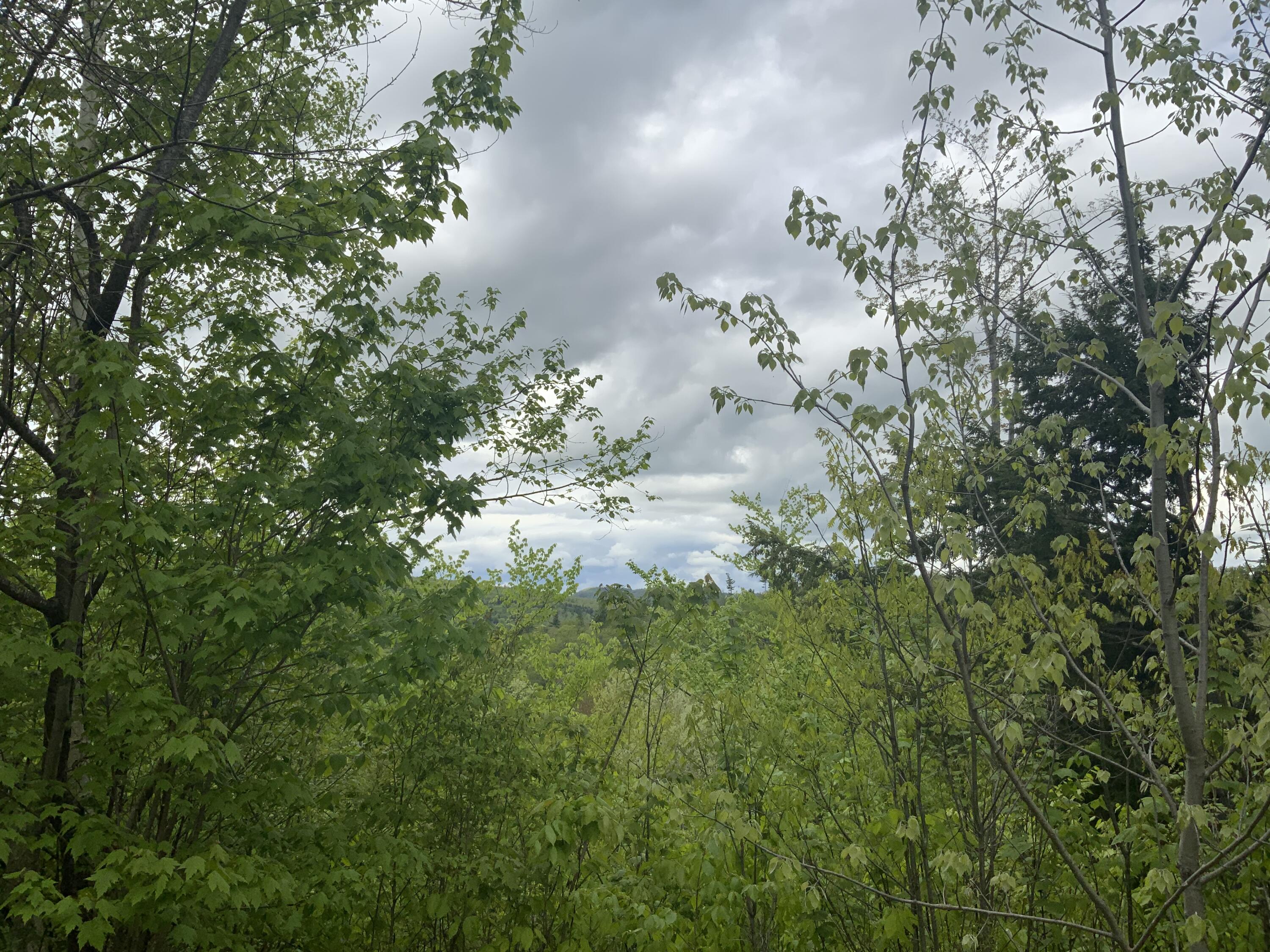 019 Lower Bear Lane Rumford ME 04276