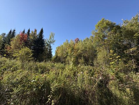 MAP1LOT1 Rutland Road Plymouth ME 04969