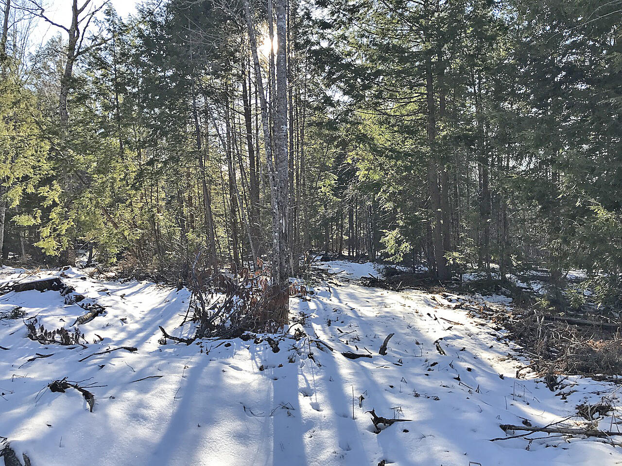 Lot# U.s. Route One Newcastle ME 04553