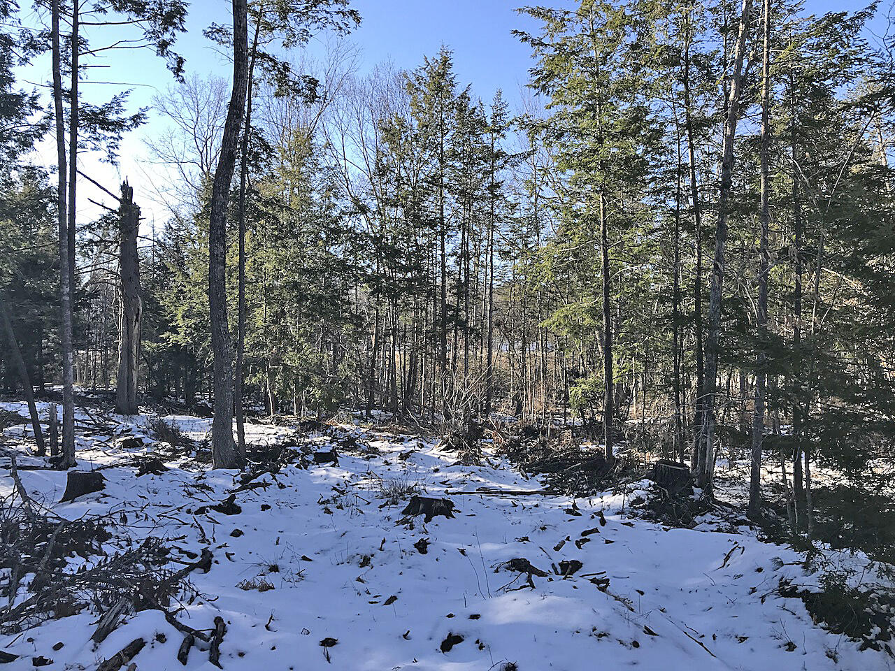 Lot# U.s. Route One Newcastle ME 04553