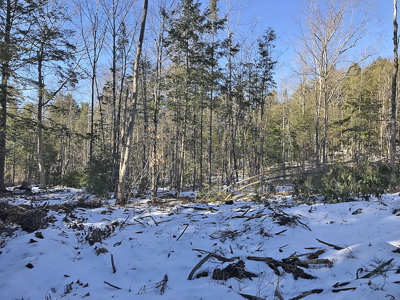 Lot# U.s. Route One Newcastle ME 04553