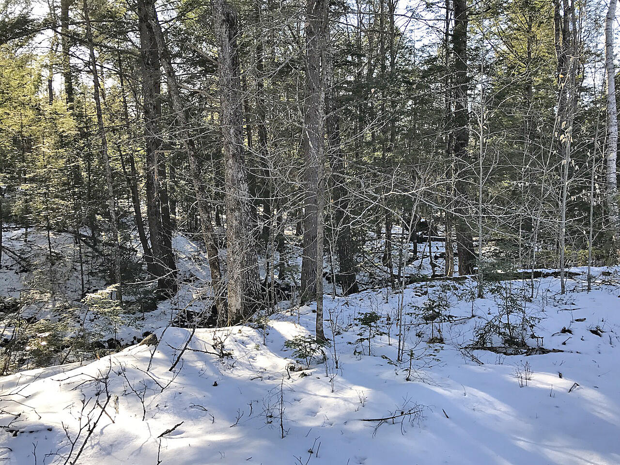 Lot# U.s. Route One Newcastle ME 04553