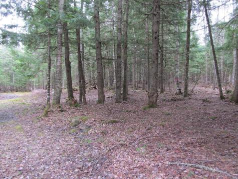052 Bradbury Ridge Road Off Averill Dixfield ME 04224