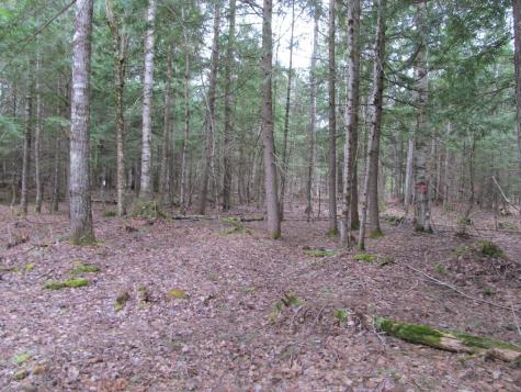 052 Bradbury Ridge Road Off Averill Dixfield ME 04224