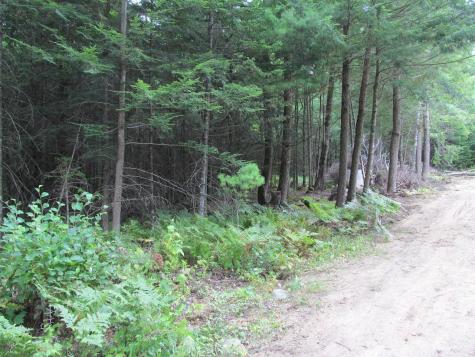 052 Bradbury Ridge Road Off Averill Dixfield ME 04224