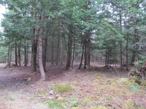 052 Bradbury Ridge Road Off Averill Dixfield ME 04224