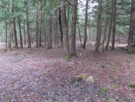 052 Bradbury Ridge Road Off Averill Dixfield ME 04224