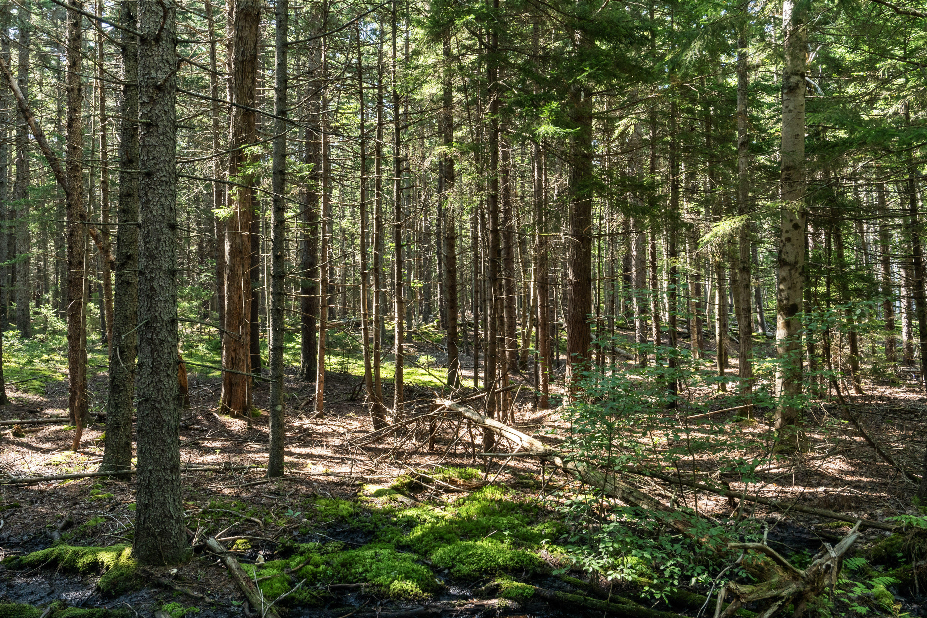 Lot 2a Allen Point Road Harpswell ME 04079