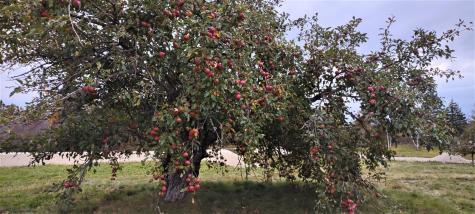 1489 Indian River Road Jonesport ME 04649