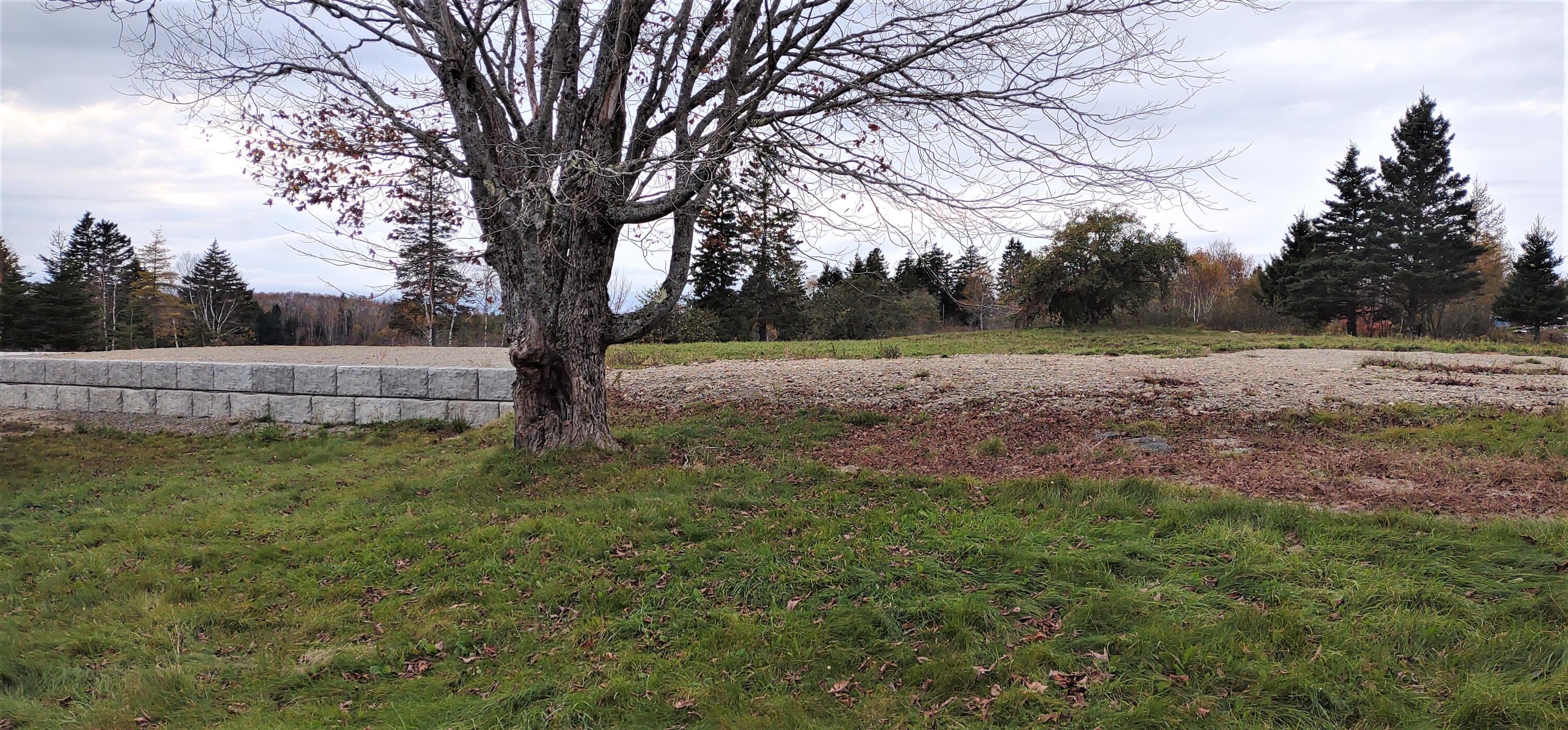 1489 Indian River Road Jonesport ME 04649