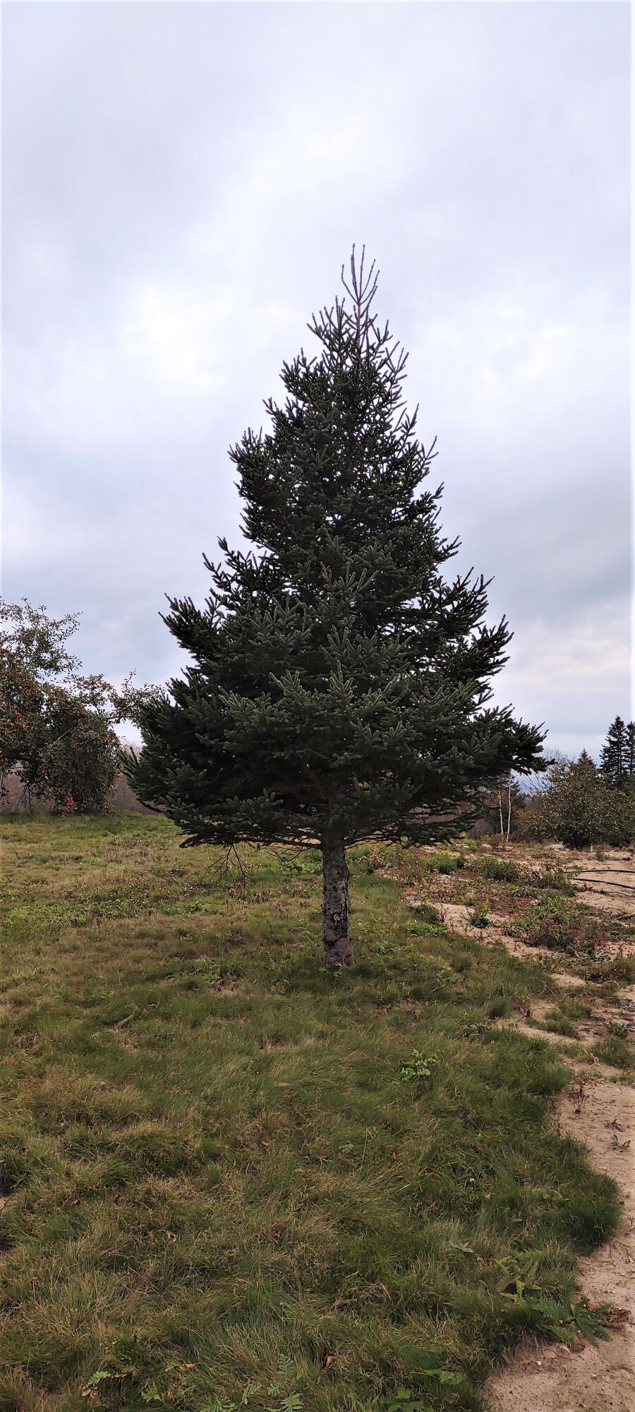 1489 Indian River Road Jonesport ME 04649