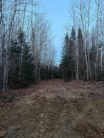 Lot 7bh Steam Mill Road Robbinston ME 04671
