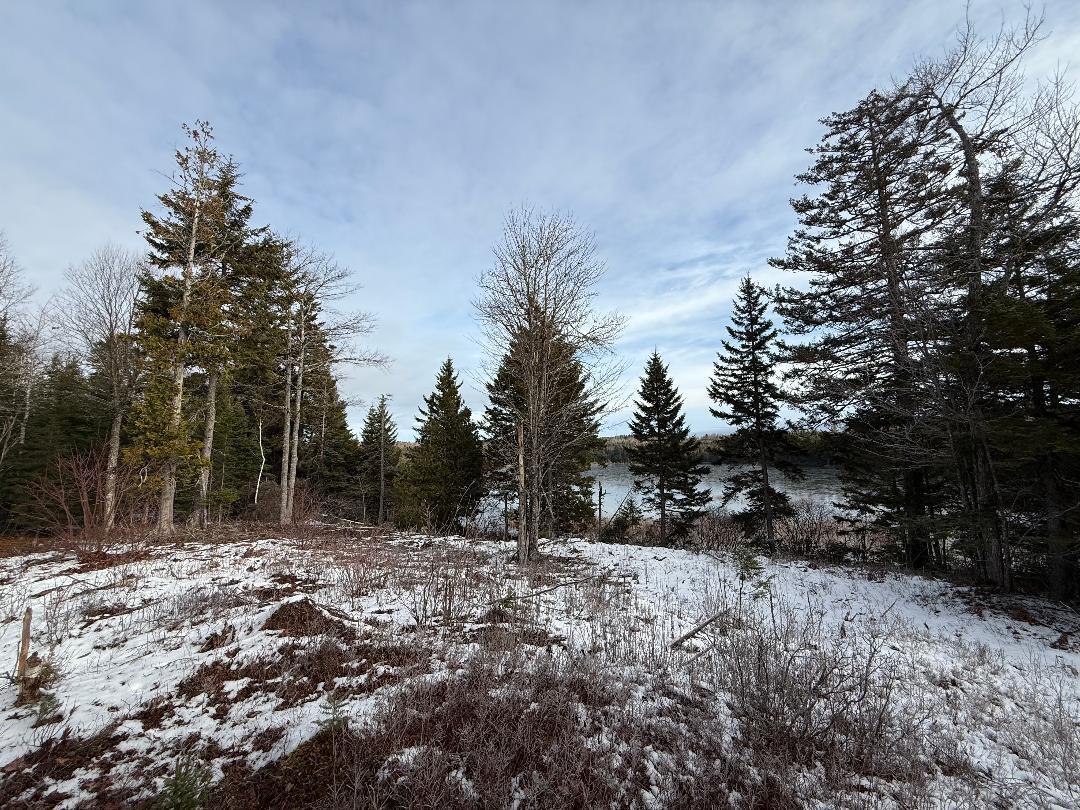 Lot 7bh Steam Mill Road Robbinston ME 04671
