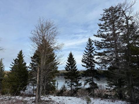 Lot 7bh Steam Mill Road Robbinston ME 04671