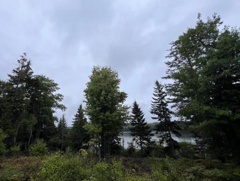 Lot 7bh Steam Mill Road Robbinston ME 04671