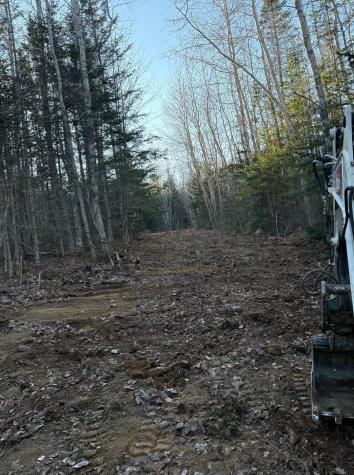 Lot 7bh Steam Mill Road Robbinston ME 04671