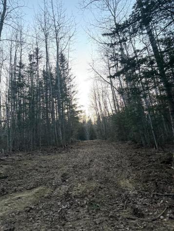 Lot 7bh Steam Mill Road Robbinston ME 04671