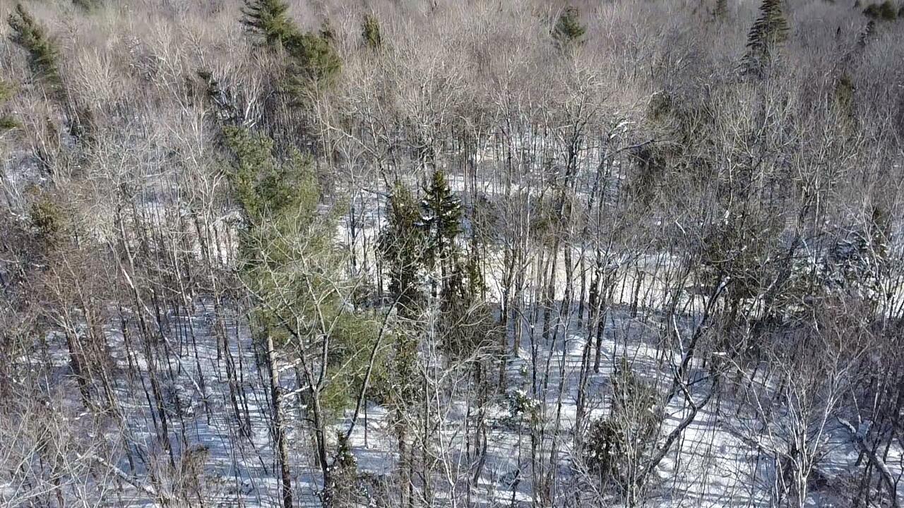 Lot 7 Curtis Farm Road Lincoln ME 04457