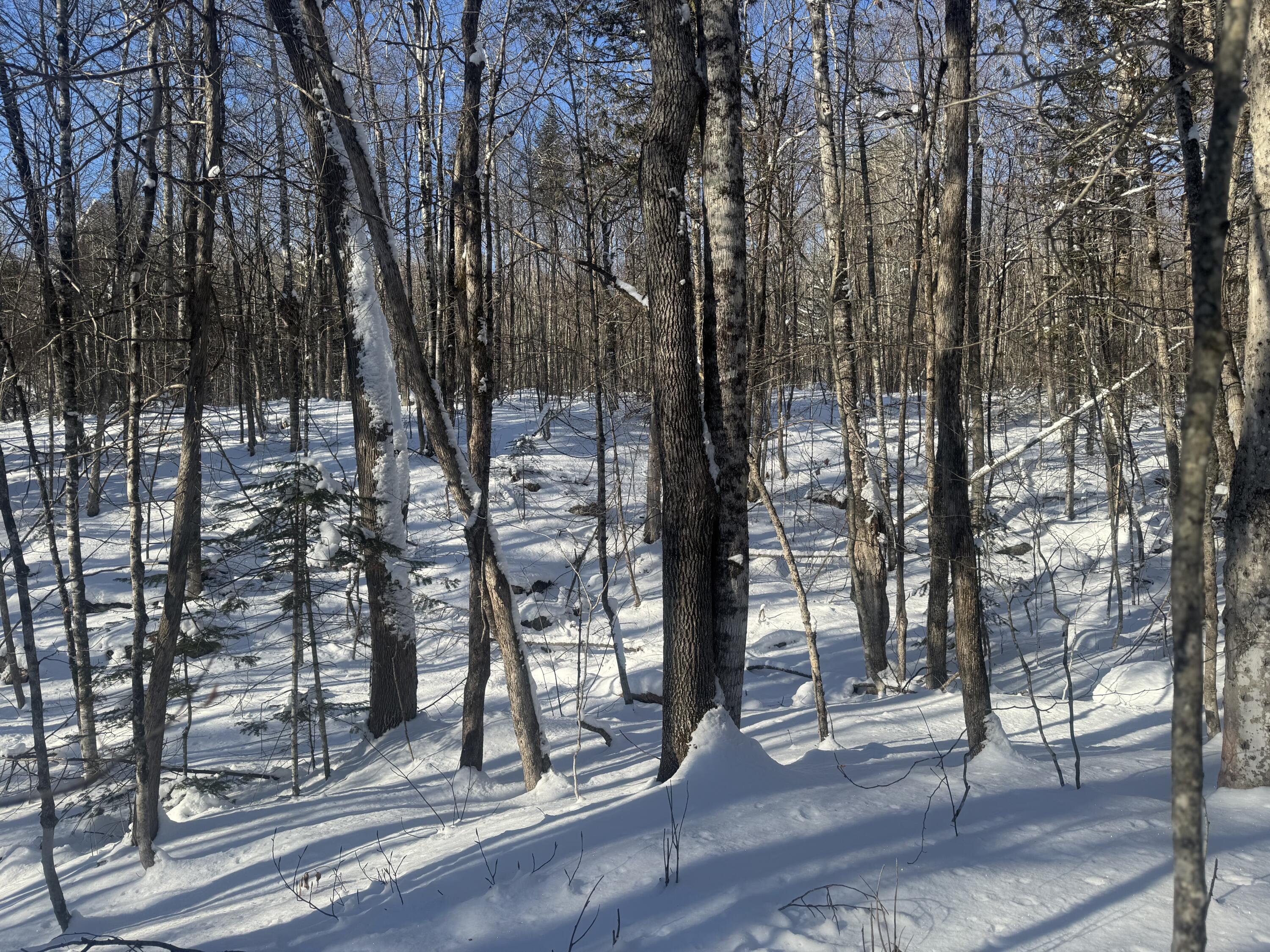 Lot 7 Curtis Farm Road Lincoln ME 04457