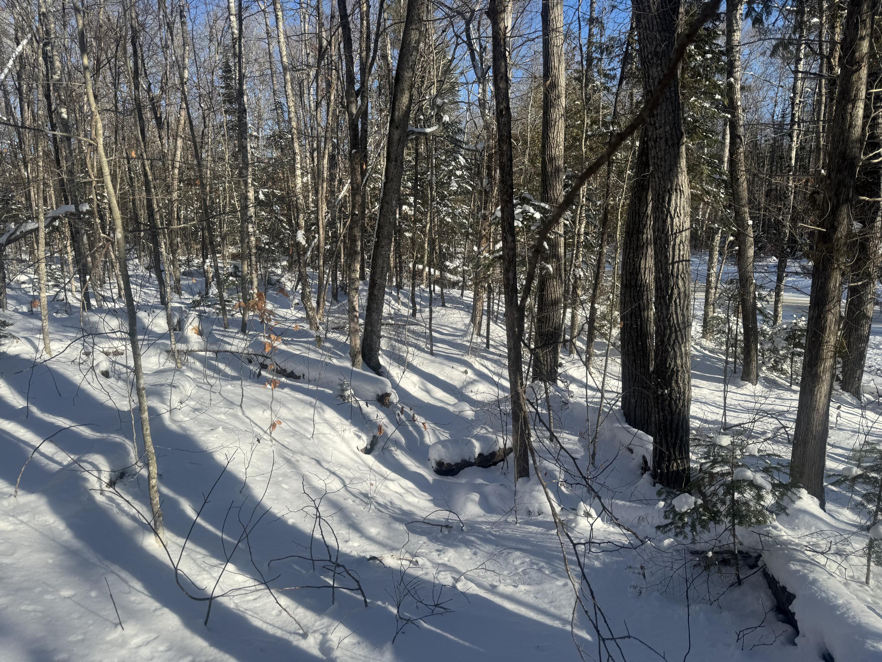Lot 7 Curtis Farm Road Lincoln ME 04457