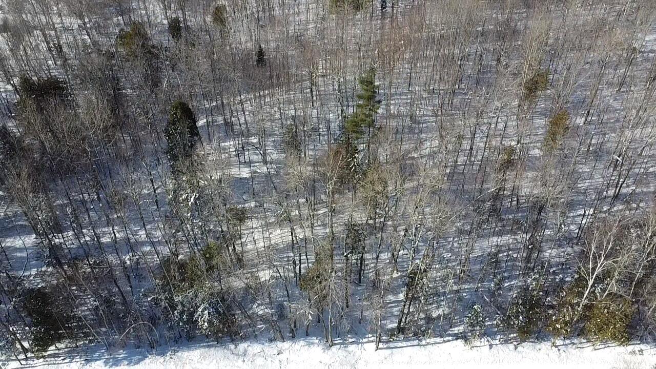 Lot 7 Curtis Farm Road Lincoln ME 04457