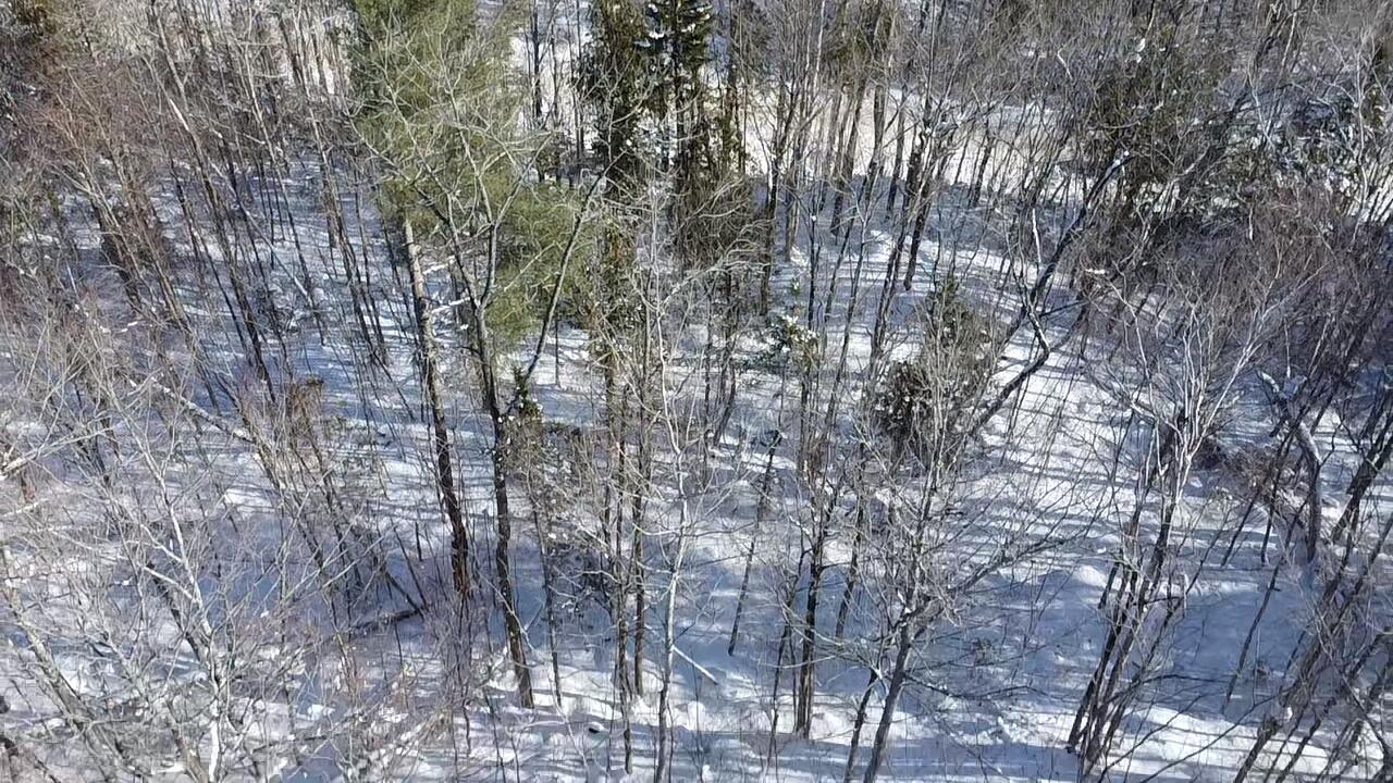 Lot 7 Curtis Farm Road Lincoln ME 04457