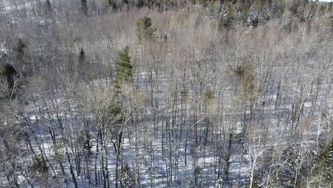 Lot 7 Curtis Farm Road Lincoln ME 04457