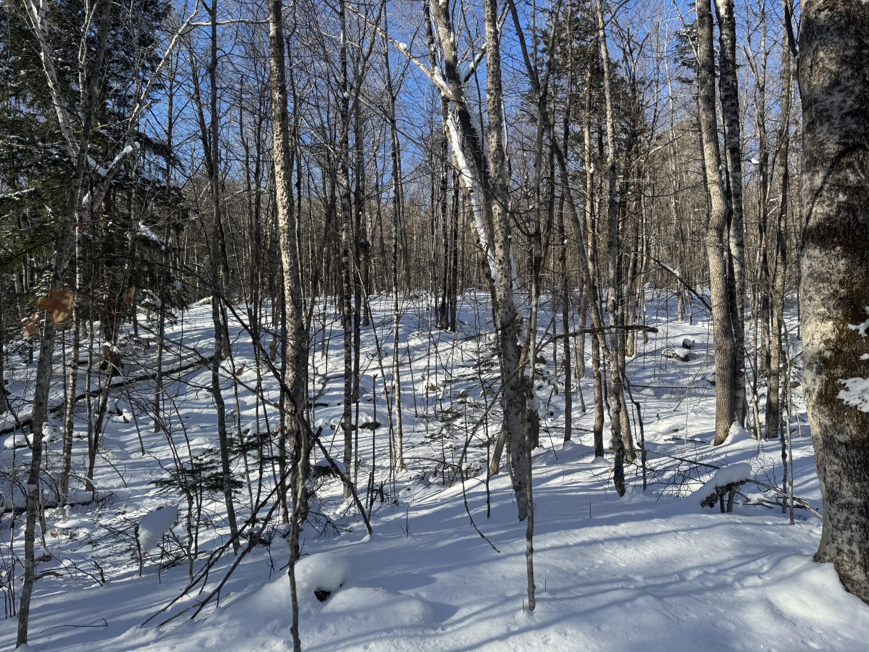 Lot 7 Curtis Farm Road Lincoln ME 04457