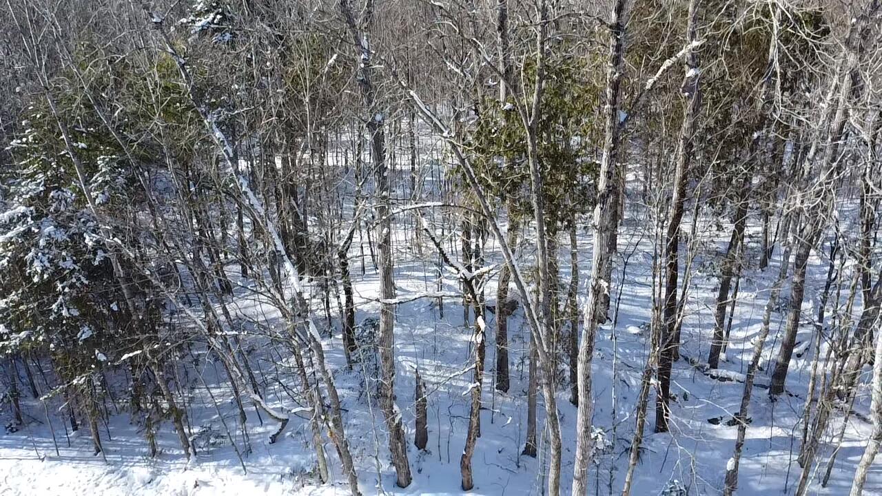 Lot 7 Curtis Farm Road Lincoln ME 04457