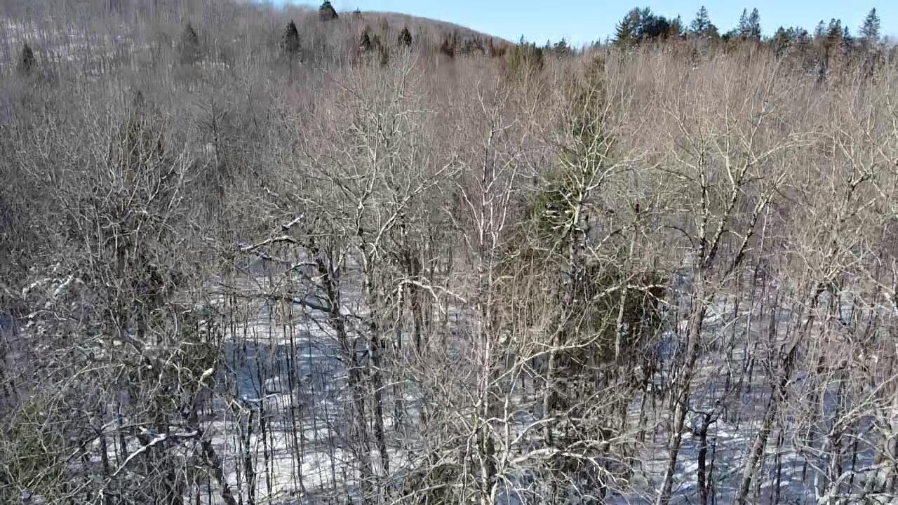 Lot 7 Curtis Farm Road Lincoln ME 04457